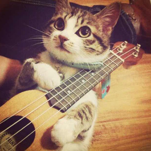 各种场合大胆露出在线看
